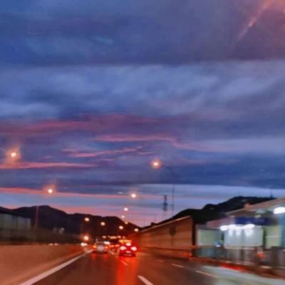 崔永元：向范冰冰致歉 “4天6000万合同”与她无关